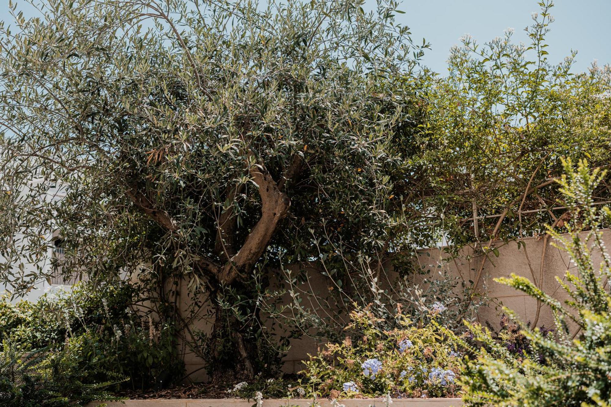 Olea Boutique Suites Polignano Поліньяно-а-Маре Екстер'єр фото